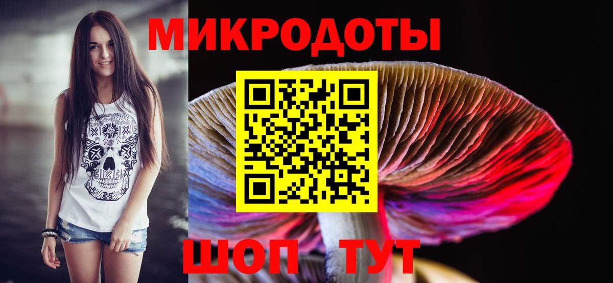 Костомукша  Псилоцибиновые грибы прущие грибы  Вход с VPN  Псилоцибиновые грибы Cubensis 